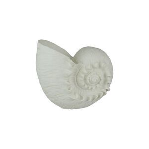White Sandstone Finish Frilled Nautilus Shell Accent Lamp 10 Inches High